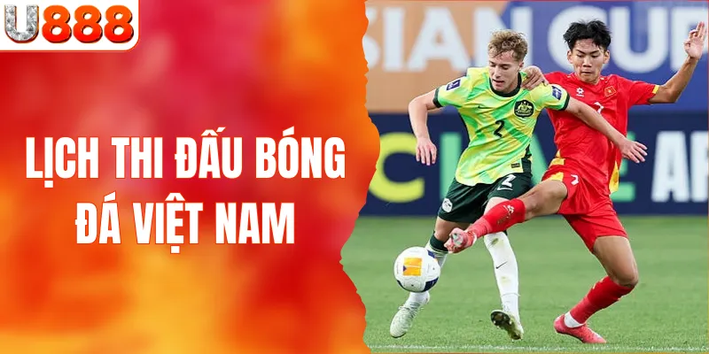 lịch thi đấu bóng đá việt nam 2025
