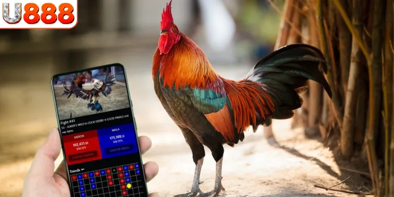 Top 3 nhà phát hành đang kết hợp cùng U888