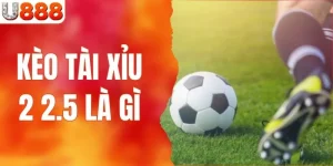 kèo tài xỉu 2 2.5 là gì